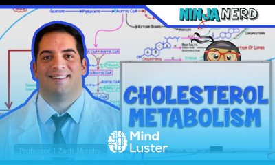 Metabolism Cholesterol Metabolism