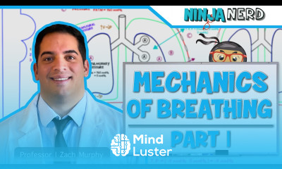 Respiratory Mechanics of Breathing Pressure Changes Part 1