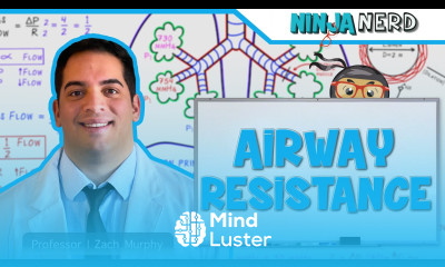 Respiratory Airway Resistance