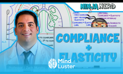 Respiratory Compliance Elasticity