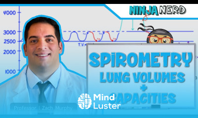 Respiratory Spirometry Lung Volumes Capacities