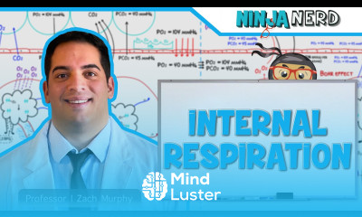 Respiratory Internal Respiration