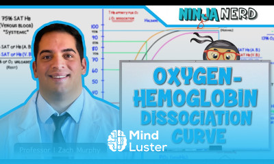 Respiratory Oxygen Hemoglobin Dissociation Curve