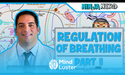 Respiratory Regulation of Breathing Central Peripheral Chemoreceptors Part 2