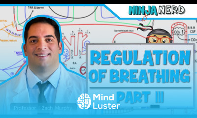 Respiratory Regulation of Breathing Factors Influencing Rate and Depth Part 3