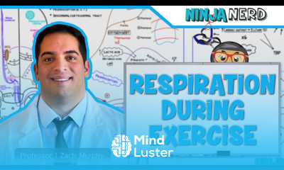 Respiratory Respiration During Exercise