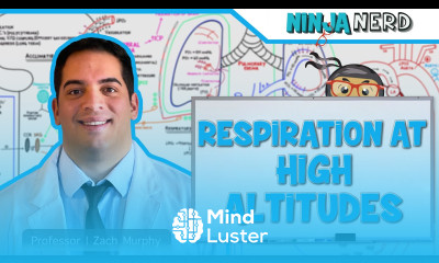 Respiratory Respiration at High Altitudes