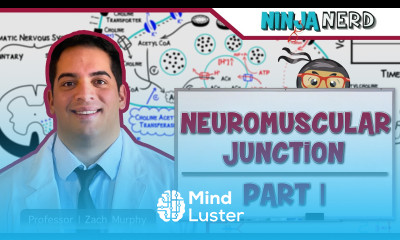 Musculoskeletal System Neuromuscular Junction Neuromuscular Transmission Part 1