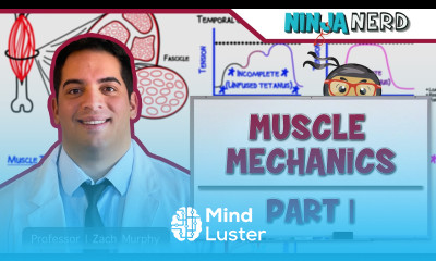 Musculoskeletal System Muscle Mechanics Twitch Summation Tetanus