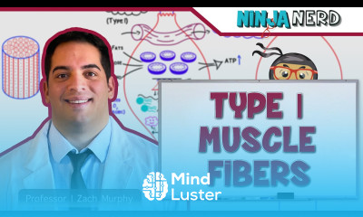 Musculoskeletal System Type I Muscle Fibers