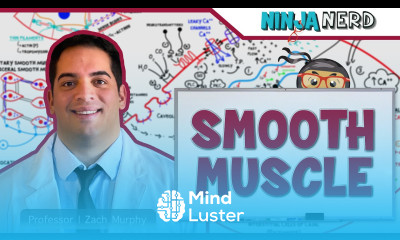 Musculoskeletal System Smooth Muscle