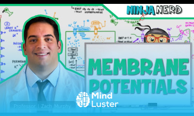 Neurology Resting Membrane Graded Action Potentials