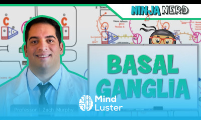 Neurology Basal Ganglia Anatomy Function Direct Indirect Pathways