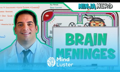 Neurology Brain Meninges Epidural Subdural Subarachnoid Intracerebral Hematomas