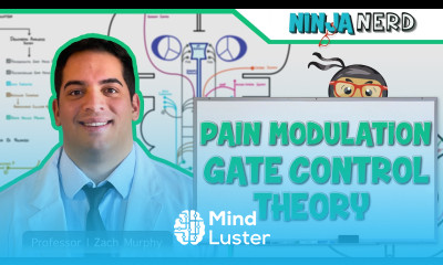 Ascending Tracts Pain Modulation Gate Control Theory