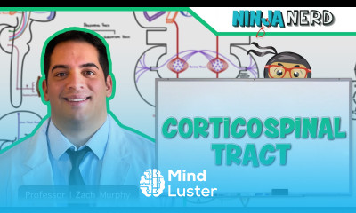 Neurology Descending Tracts Corticospinal Tract