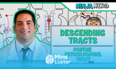Neurology Descending Tracts Pontine Reticulospinal Tract