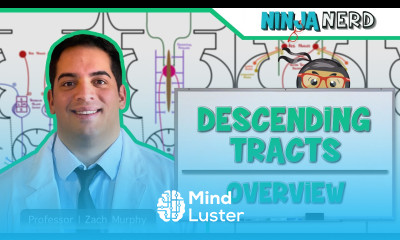 Neurology Descending Tracts Overview