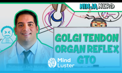 Neurology Spinal Cord Golgi Tendon Organ Reflex GTO