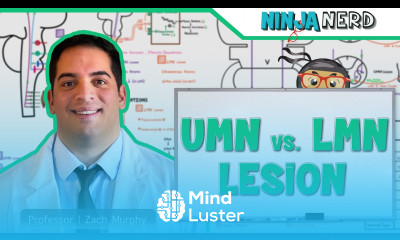 Neurology Upper Motor Neuron vs Lower Motor Neuron Lesion UMN vs LMN Lesion