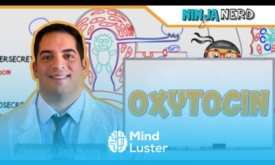 Endocrinology Oxytocin