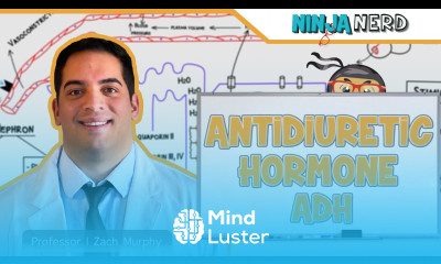 Endocrinology Antidiuretic Hormone ADH