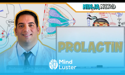 Endocrinology Prolactin