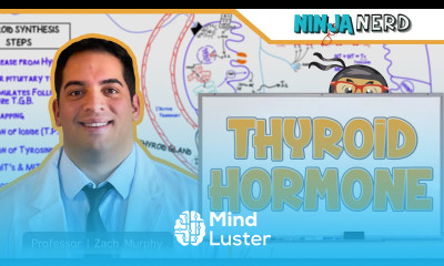 Endocrinology Synthesis of Thyroid Hormone