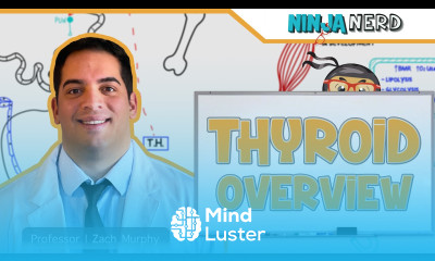 Endocrinology Thyroid Overview