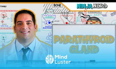 Endocrinology Parathyroid Gland Calcitonin