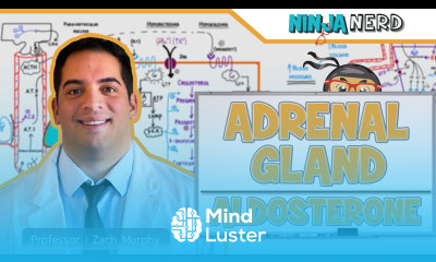 Endocrinology Adrenal Gland Aldosterone