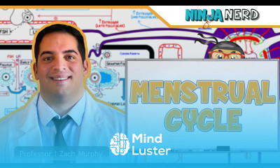 Female Reproductive Cycle Menstrual Cycle