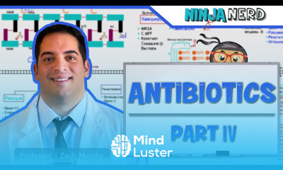 Antibiotics DNA RNA Synthesis Inhibitors Part 4