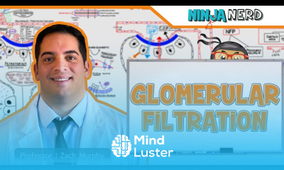 Renal Glomerular Filtration