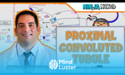 Renal Proximal Convoluted Tubule