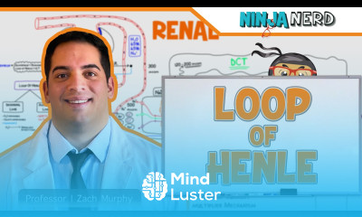 Renal Loop of Henle