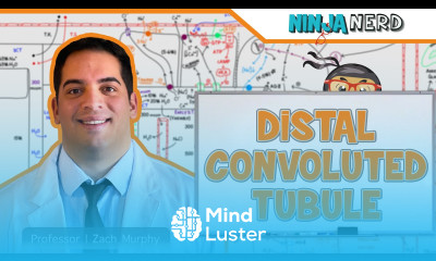 Renal Distal Convoluted Tubule