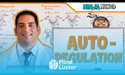 Renal Autoregulation Updated