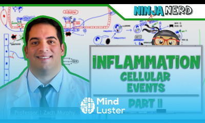 Immunology Inflammation Cellular Events Part 2