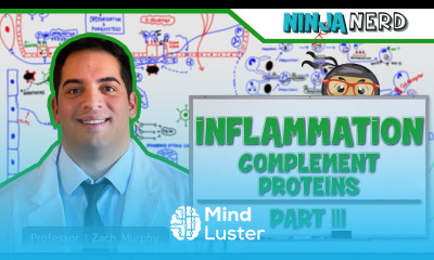Immunology Inflammation Complement Proteins Part 3