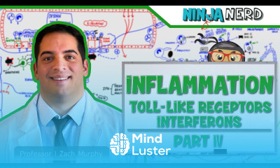 Immunology Inflammation Toll Like Receptors and Interferons Part 4