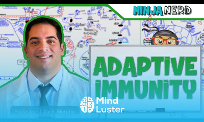 Immunology Adaptive Immunity