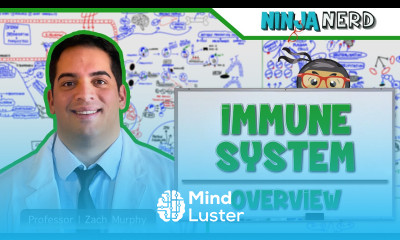 Immunology Immune System Overview