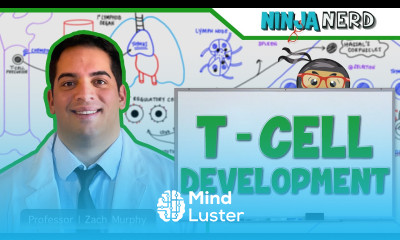 Immunology T Cell Development