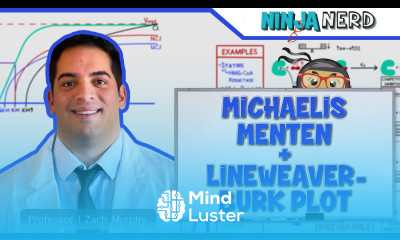 Biochemistry Michaelis Menten Lineweaver Burk Plot