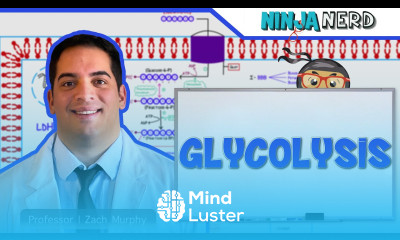 Metabolism Glycolysis
