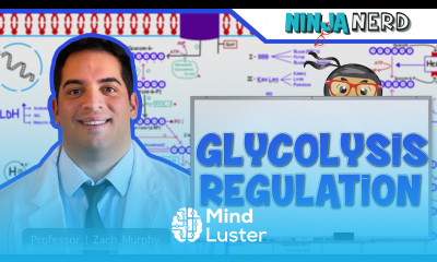 Metabolism Regulation of Glycolysis