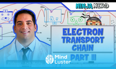 Metabolism Electron Transport Chain DETAILED Part 3
