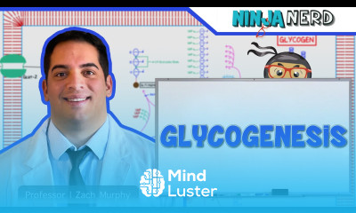 Metabolism Glycogenesis