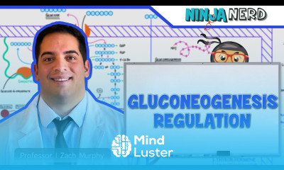 Metabolism Regulation of Gluconeogenesis